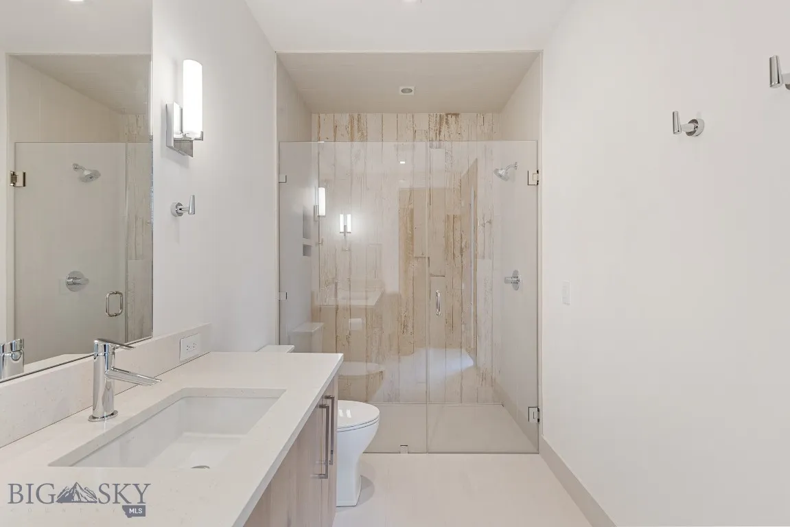 Lower level bathroom