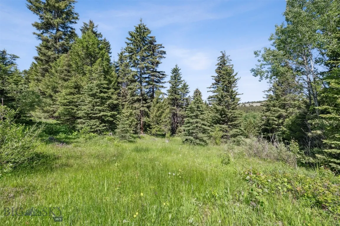 Tbd Smokey Mountain Drive, Anaconda, Montana 59711, Anaconda, Montana 59711, ,Land,For Sale,Tbd Smokey Mountain Drive, Anaconda, Montana 59711,403807