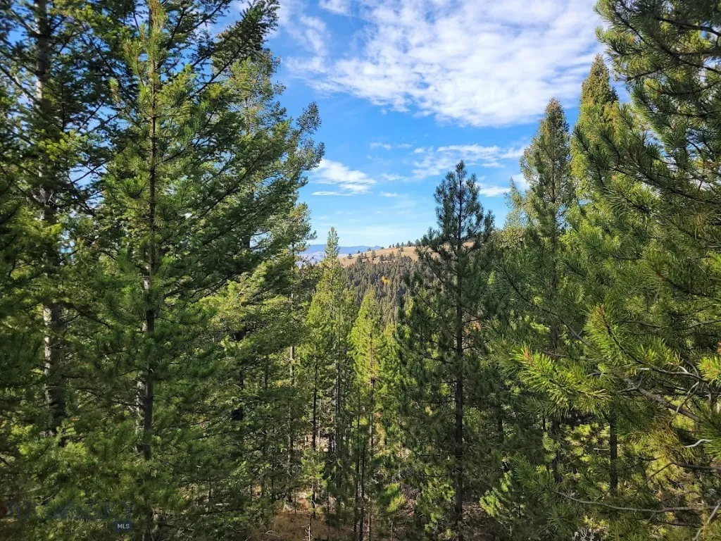 Tbd Smokey Mountain Drive, Anaconda, Montana 59711, Anaconda, Montana 59711, ,Land,For Sale,Tbd Smokey Mountain Drive, Anaconda, Montana 59711,403807