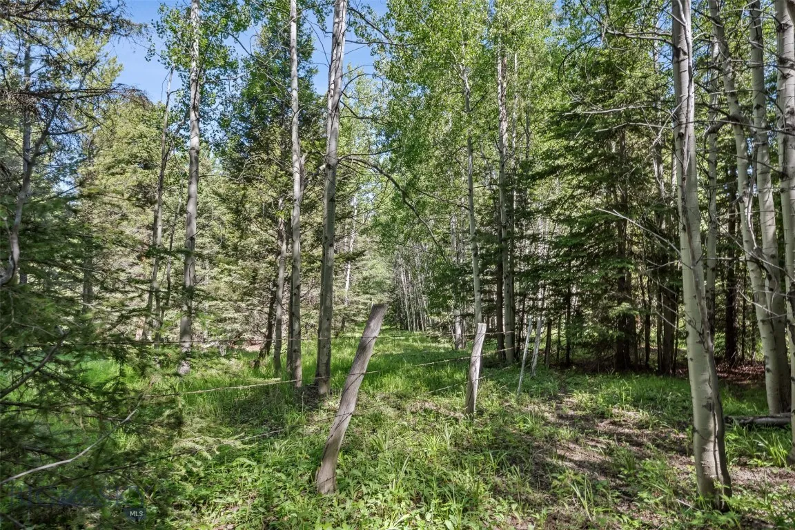 Tbd Smokey Mountain Drive, Anaconda, Montana 59711, Anaconda, Montana 59711, ,Land,For Sale,Tbd Smokey Mountain Drive, Anaconda, Montana 59711,403807
