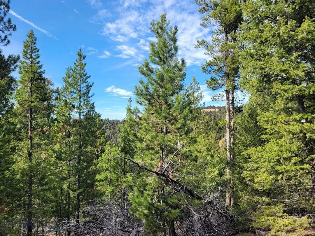 Tbd Smokey Mountain Drive, Anaconda, Montana 59711, Anaconda, Montana 59711, ,Land,For Sale,Tbd Smokey Mountain Drive, Anaconda, Montana 59711,403807