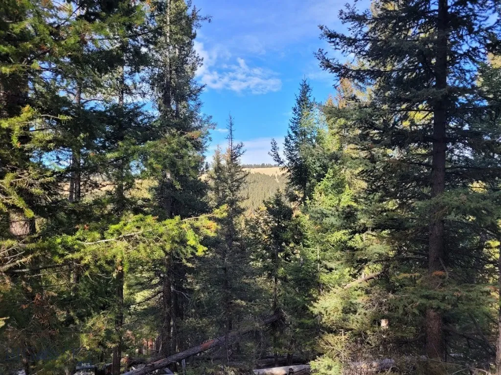 Tbd Smokey Mountain Drive, Anaconda, Montana 59711, Anaconda, Montana 59711, ,Land,For Sale,Tbd Smokey Mountain Drive, Anaconda, Montana 59711,403807