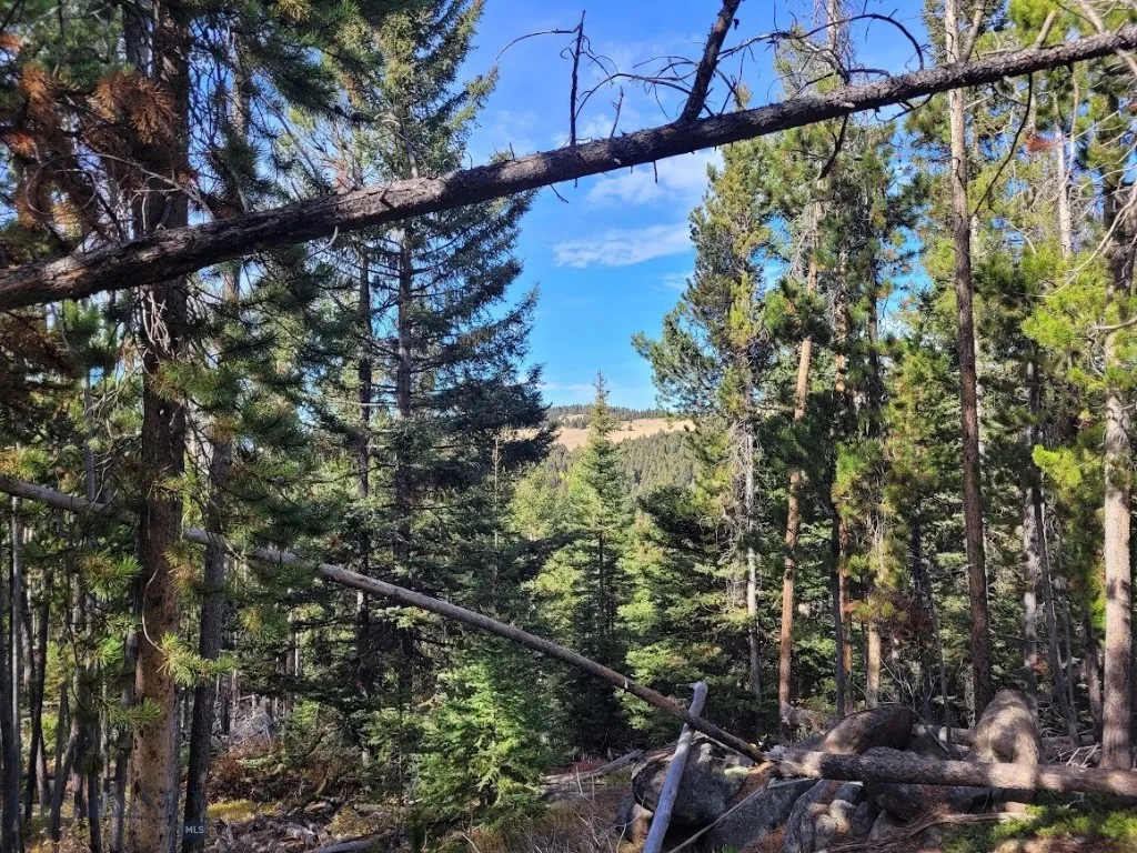Tbd Smokey Mountain Drive, Anaconda, Montana 59711, Anaconda, Montana 59711, ,Land,For Sale,Tbd Smokey Mountain Drive, Anaconda, Montana 59711,403807