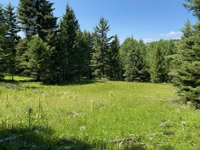 Tbd Smokey Mountain Drive, Anaconda, Montana 59711, Anaconda, Montana 59711, ,Land,For Sale,Tbd Smokey Mountain Drive, Anaconda, Montana 59711,403807