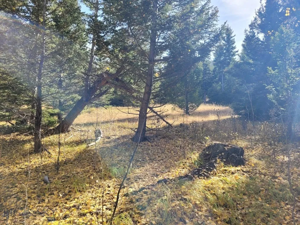 Tbd Smokey Mountain Drive, Anaconda, Montana 59711, Anaconda, Montana 59711, ,Land,For Sale,Tbd Smokey Mountain Drive, Anaconda, Montana 59711,403807