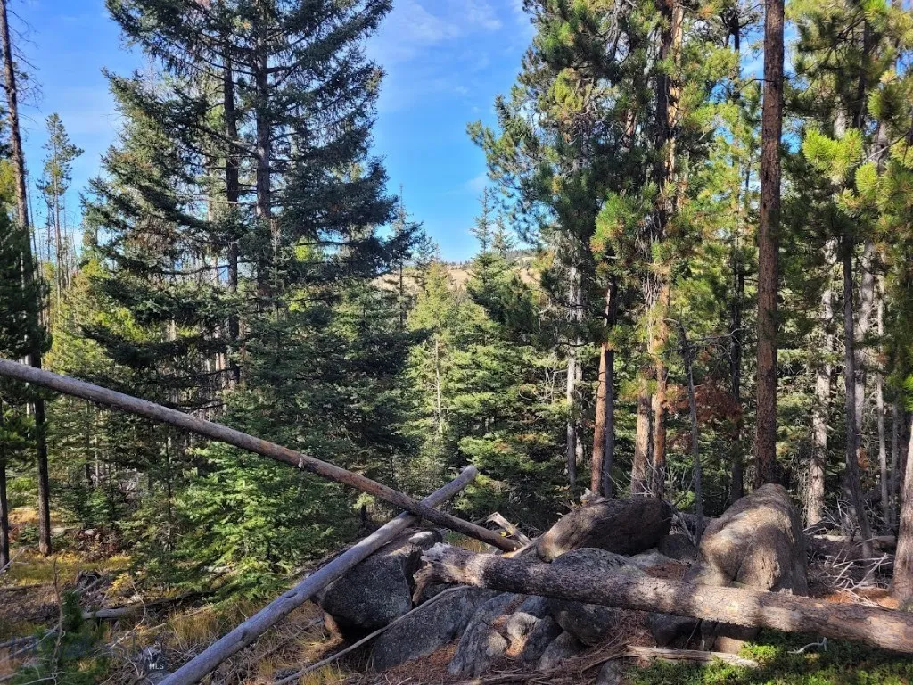 Tbd Smokey Mountain Drive, Anaconda, Montana 59711, Anaconda, Montana 59711, ,Land,For Sale,Tbd Smokey Mountain Drive, Anaconda, Montana 59711,403807