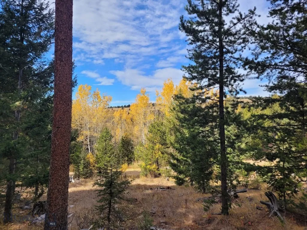 Tbd Smokey Mountain Drive, Anaconda, Montana 59711, Anaconda, Montana 59711, ,Land,For Sale,Tbd Smokey Mountain Drive, Anaconda, Montana 59711,403807