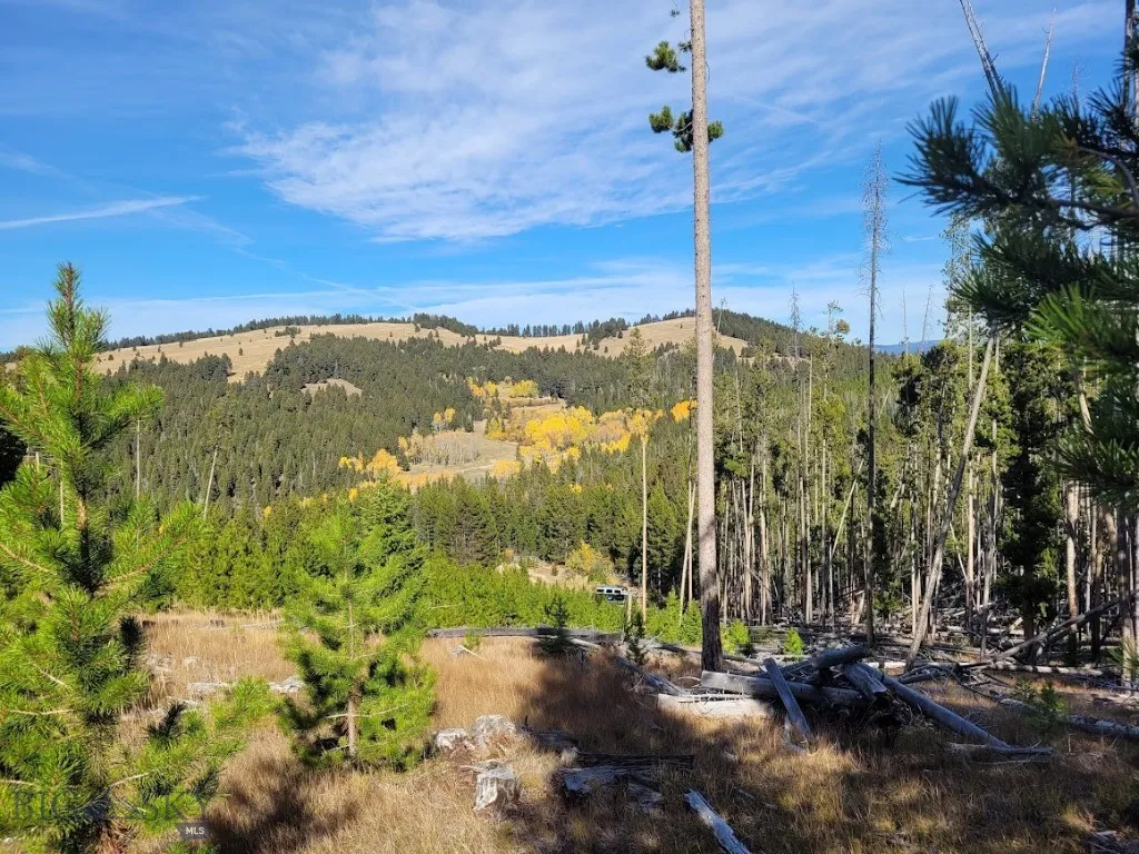 Tbd Smokey Mountain Drive, Anaconda, Montana 59711, Anaconda, Montana 59711, ,Land,For Sale,Tbd Smokey Mountain Drive, Anaconda, Montana 59711,403807
