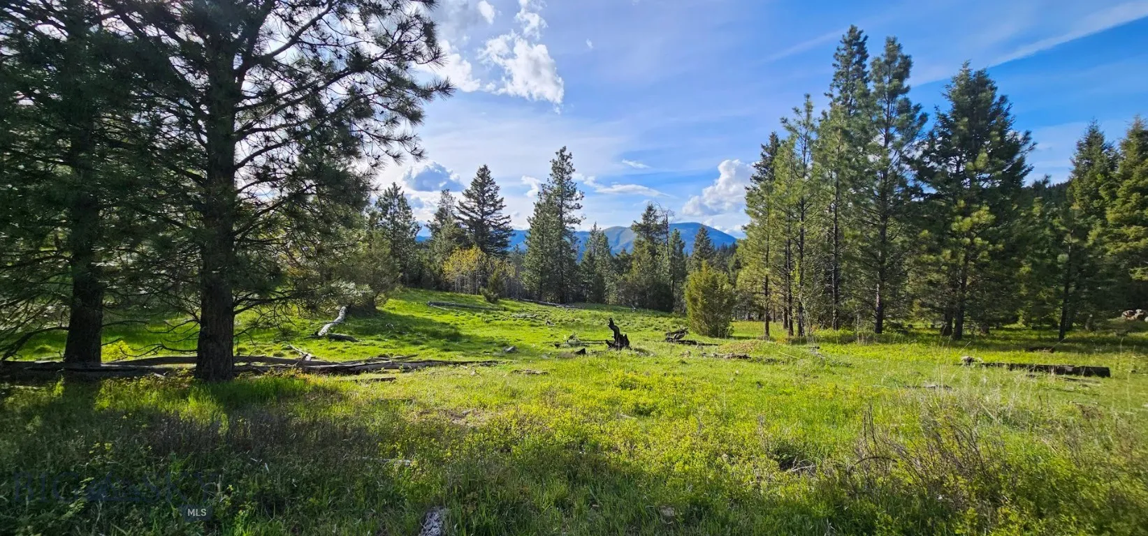 7 Tract, Drummond, Montana 59832, Drummond, Montana 59832, 2 Bedrooms Bedrooms, ,Land,For Sale,7 Tract, Drummond, Montana 59832,403788