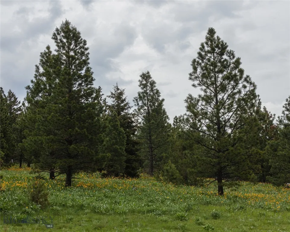 6 Tract, Drummond, Montana 59832, Drummond, Montana 59832, ,Land,For Sale,6 Tract, Drummond, Montana 59832,403787