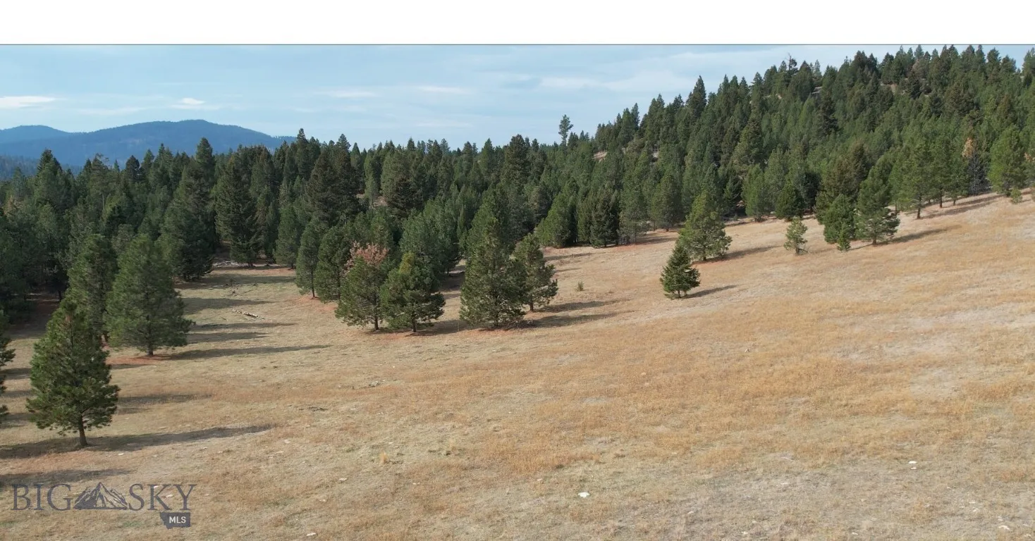 6 Tract, Drummond, Montana 59832, Drummond, Montana 59832, ,Land,For Sale,6 Tract, Drummond, Montana 59832,403787