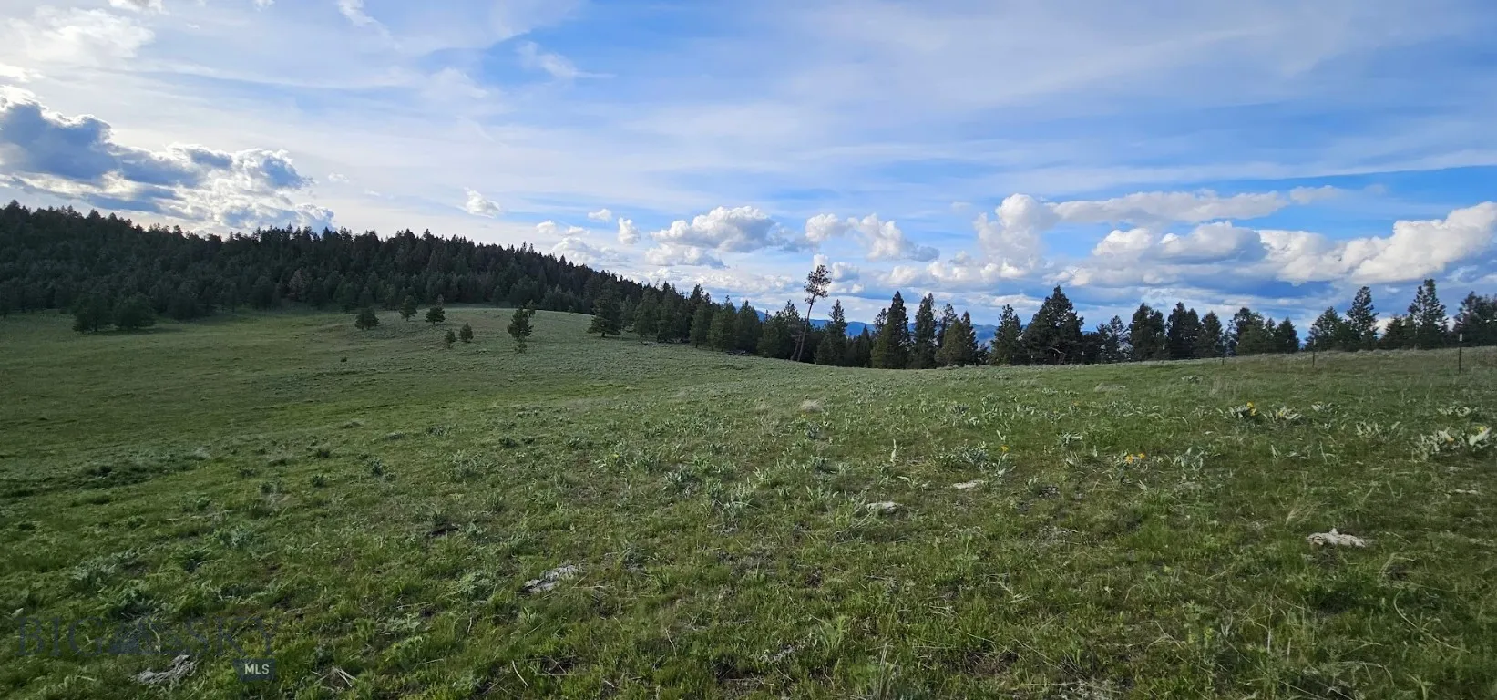 6 Tract, Drummond, Montana 59832, Drummond, Montana 59832, ,Land,For Sale,6 Tract, Drummond, Montana 59832,403787