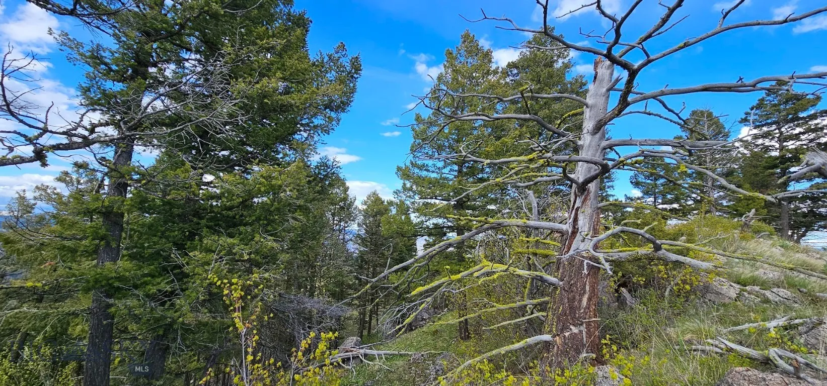 View of landscape