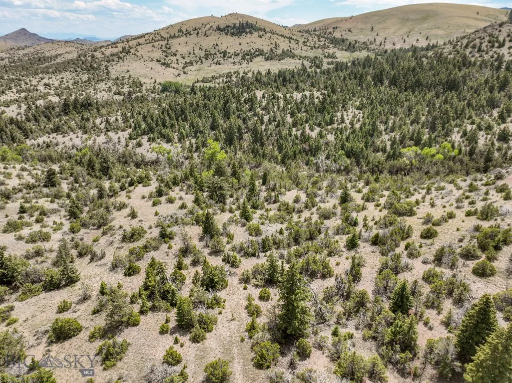 Tbd Keating Gulch Road, Radersburg, Montana 59641, Radersburg, Montana 59641, ,Land,For Sale,Tbd Keating Gulch Road, Radersburg, Montana 59641,0,398868