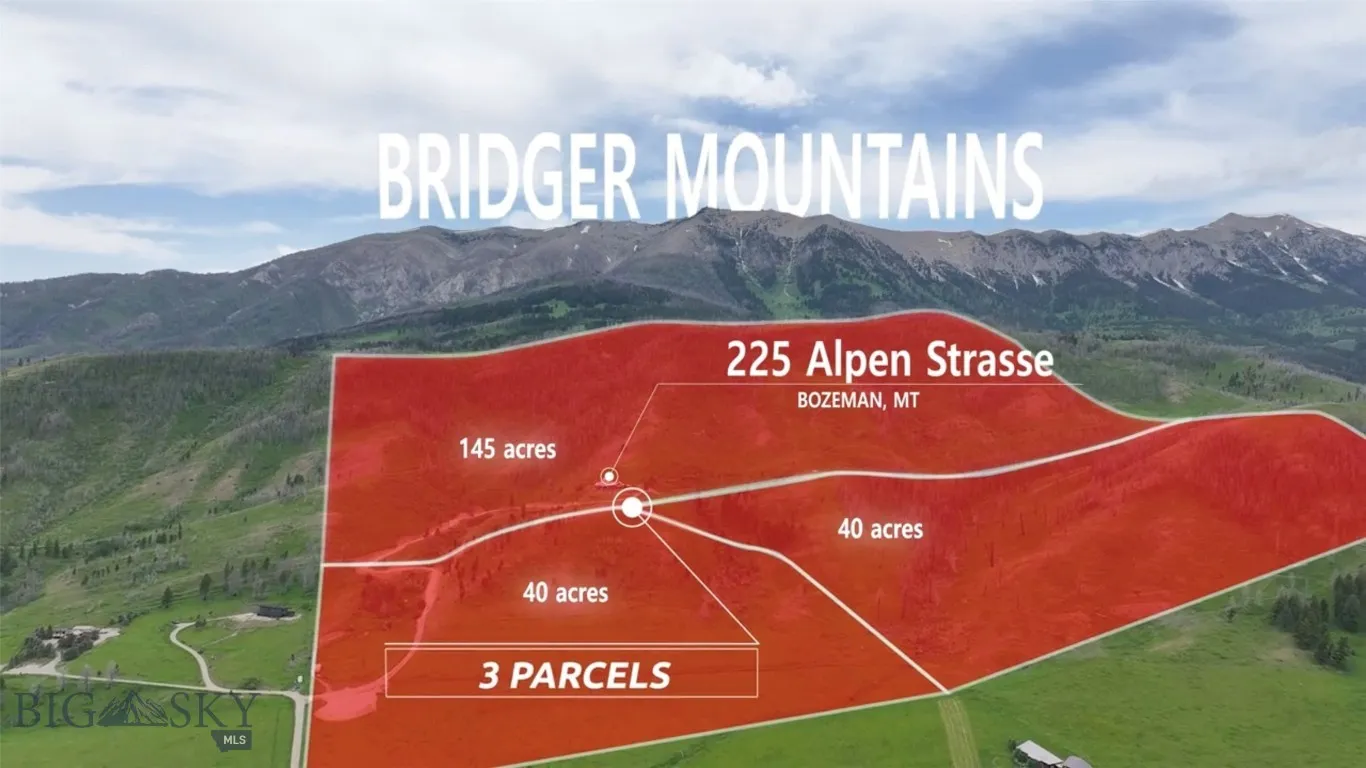 225 Alpen Strasse Street, Bozeman, Montana 59715, Bozeman, Montana 59715, 4 Bedrooms Bedrooms, ,3 BathroomsBathrooms,Residential,For Sale,225 Alpen Strasse Street, Bozeman, Montana 59715,402058