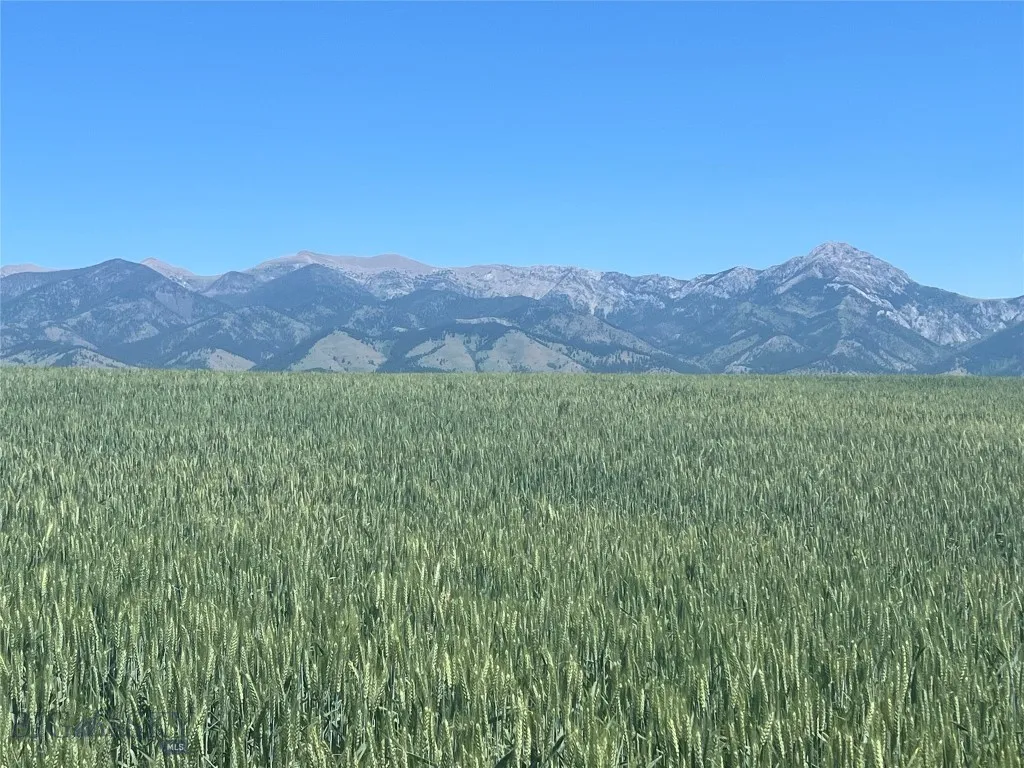 Lot 3 Penwell Bridge Road, Belgrade, Montana 59714, Belgrade, Montana 59714, ,Land,For Sale,Lot 3 Penwell Bridge Road, Belgrade, Montana 59714,0,403783