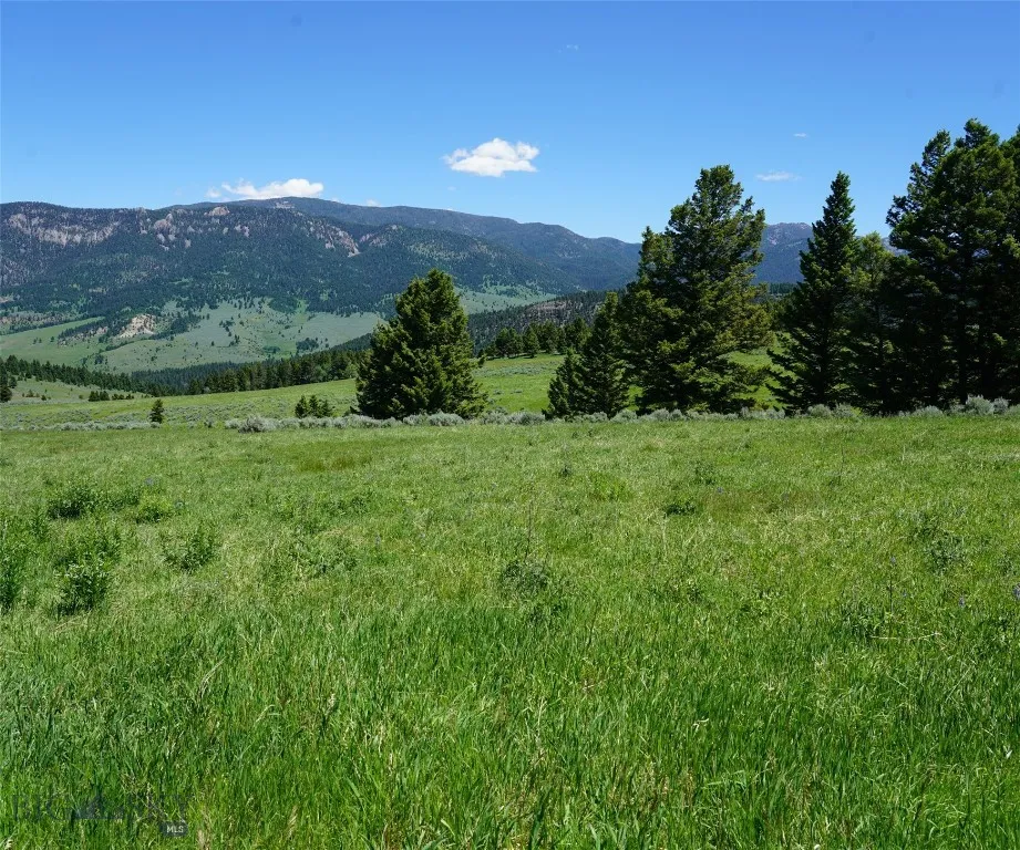 Tbd Timberloft, Big Sky, Montana 59716, Big Sky, Montana 59716, ,Land,For Sale,Tbd Timberloft, Big Sky, Montana 59716,0,403823