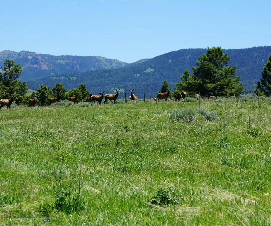 Tbd Timberloft, Big Sky, Montana 59716, Big Sky, Montana 59716, ,Land,For Sale,Tbd Timberloft, Big Sky, Montana 59716,0,403823