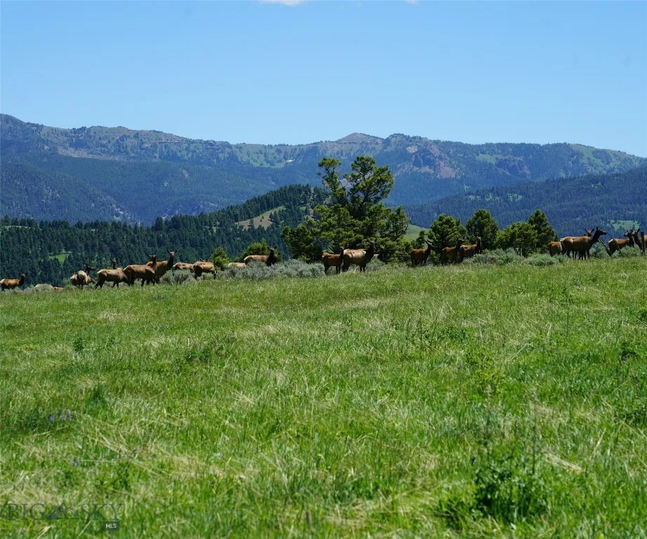 Tbd Timberloft, Big Sky, Montana 59716, Big Sky, Montana 59716, ,Land,For Sale,Tbd Timberloft, Big Sky, Montana 59716,0,403823