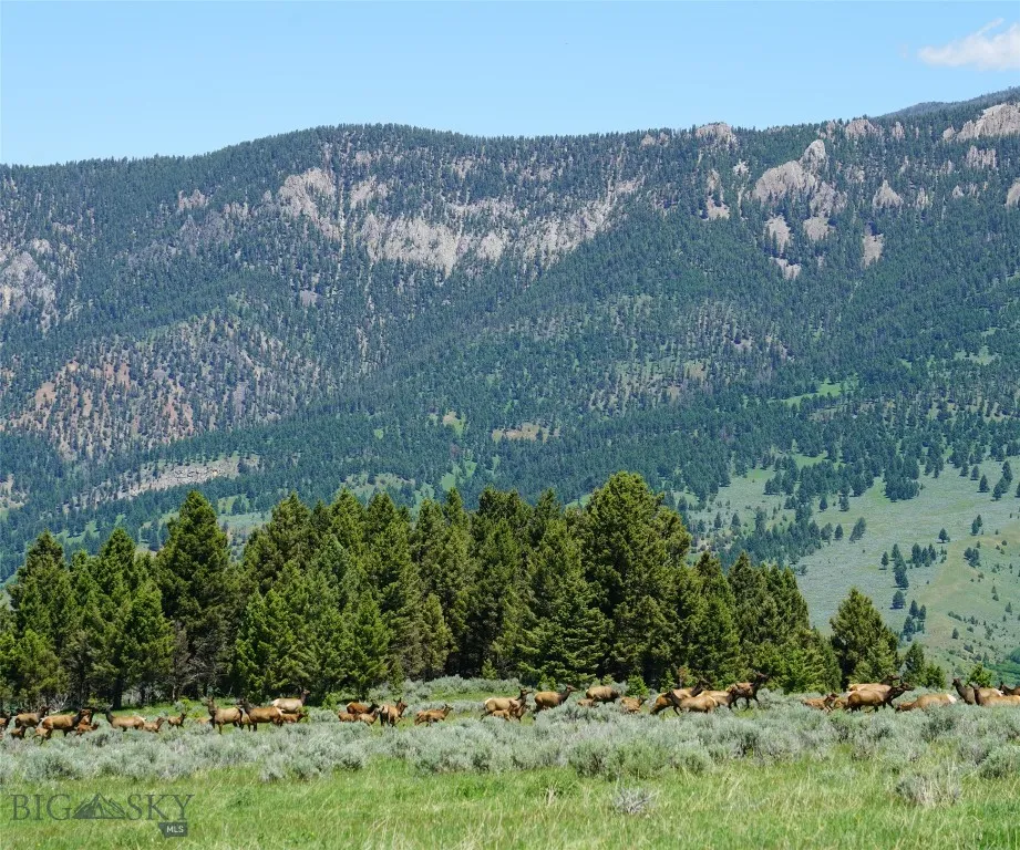 Tbd Timberloft, Big Sky, Montana 59716, Big Sky, Montana 59716, ,Land,For Sale,Tbd Timberloft, Big Sky, Montana 59716,0,403823