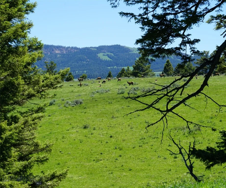 Tbd Timberloft, Big Sky, Montana 59716, Big Sky, Montana 59716, ,Land,For Sale,Tbd Timberloft, Big Sky, Montana 59716,0,403823