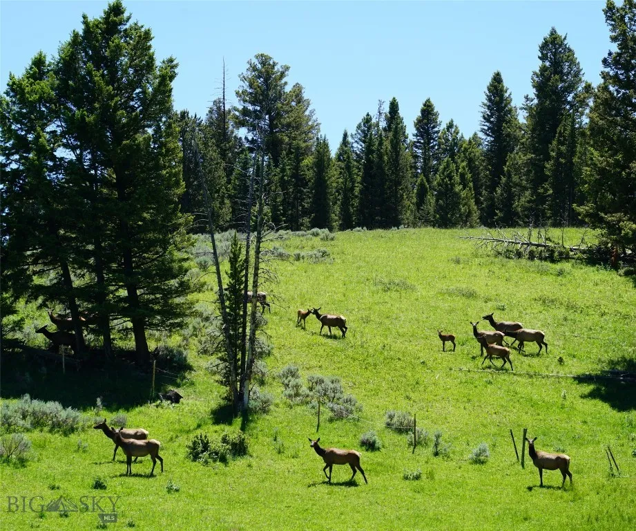 Tbd Timberloft, Big Sky, Montana 59716, Big Sky, Montana 59716, ,Land,For Sale,Tbd Timberloft, Big Sky, Montana 59716,0,403823