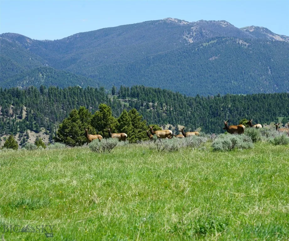 Tbd Timberloft, Big Sky, Montana 59716, Big Sky, Montana 59716, ,Land,For Sale,Tbd Timberloft, Big Sky, Montana 59716,0,403823