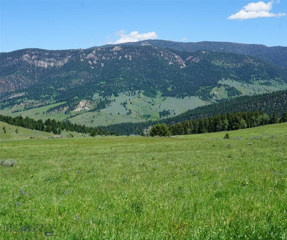 Tbd Timberloft, Big Sky, Montana 59716, Big Sky, Montana 59716, ,Land,For Sale,Tbd Timberloft, Big Sky, Montana 59716,0,403823