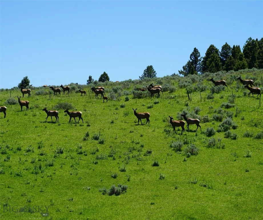 Tbd Timberloft, Big Sky, Montana 59716, Big Sky, Montana 59716, ,Land,For Sale,Tbd Timberloft, Big Sky, Montana 59716,0,403823