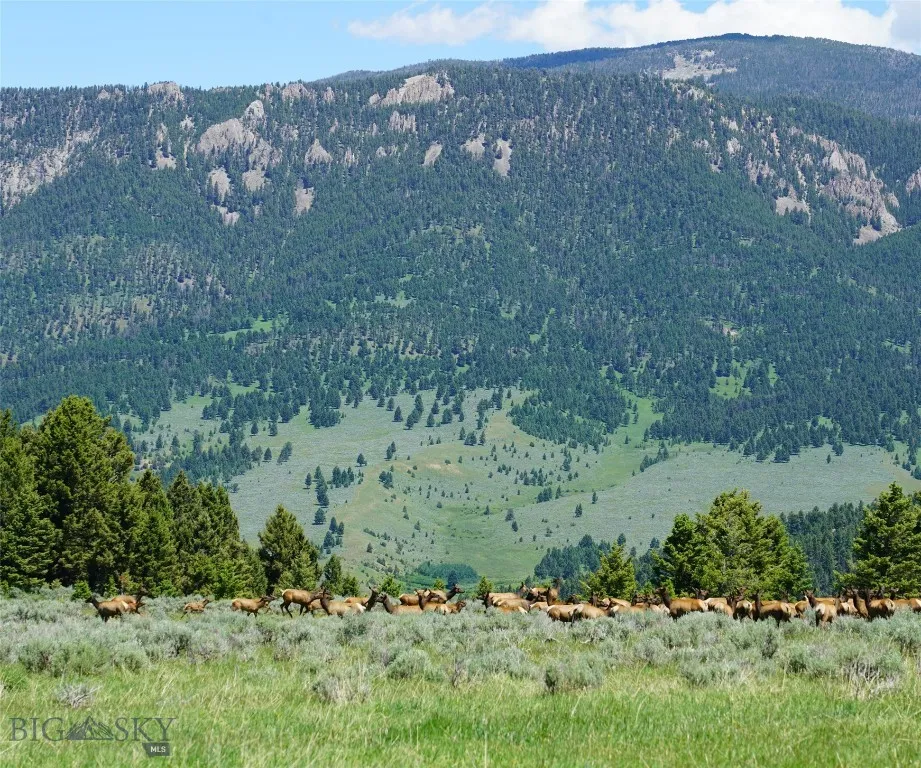 Tbd Timberloft, Big Sky, Montana 59716, Big Sky, Montana 59716, ,Land,For Sale,Tbd Timberloft, Big Sky, Montana 59716,0,403823