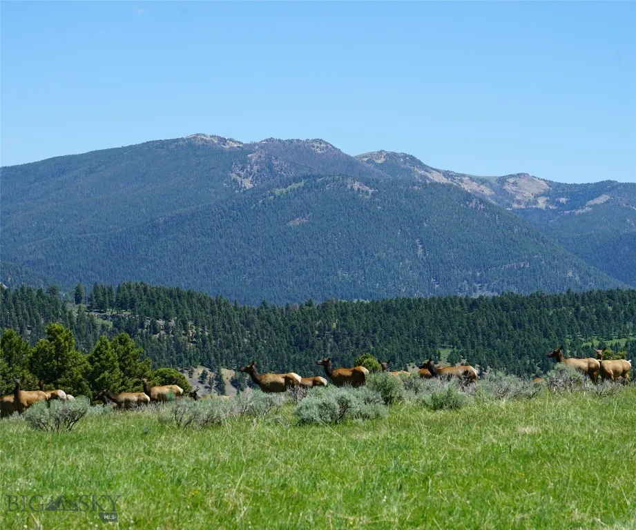Tbd Timberloft, Big Sky, Montana 59716, Big Sky, Montana 59716, ,Land,For Sale,Tbd Timberloft, Big Sky, Montana 59716,0,403823