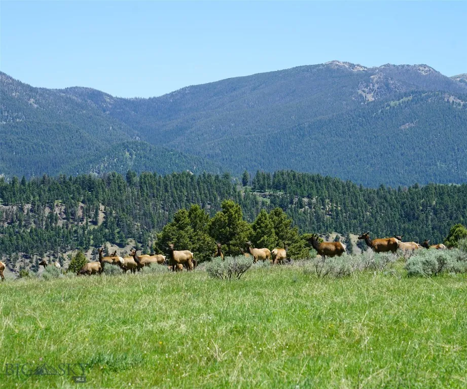 Tbd Timberloft, Big Sky, Montana 59716, Big Sky, Montana 59716, ,Land,For Sale,Tbd Timberloft, Big Sky, Montana 59716,0,403823