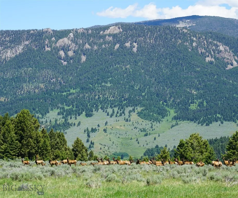 Tbd Timberloft, Big Sky, Montana 59716, Big Sky, Montana 59716, ,Land,For Sale,Tbd Timberloft, Big Sky, Montana 59716,0,403823