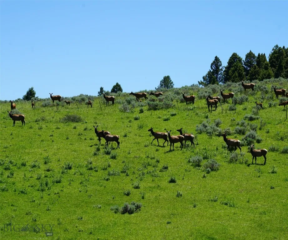 Tbd Timberloft, Big Sky, Montana 59716, Big Sky, Montana 59716, ,Land,For Sale,Tbd Timberloft, Big Sky, Montana 59716,0,403823