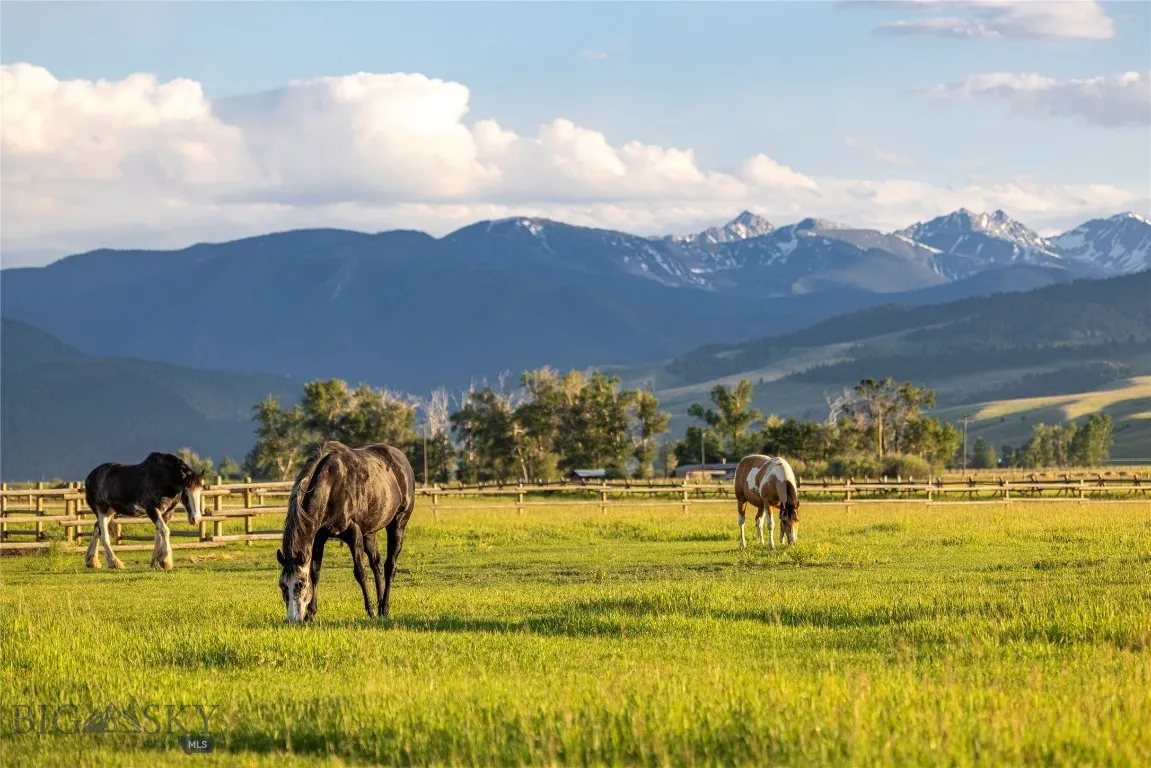 Fantastic Equestrian Property