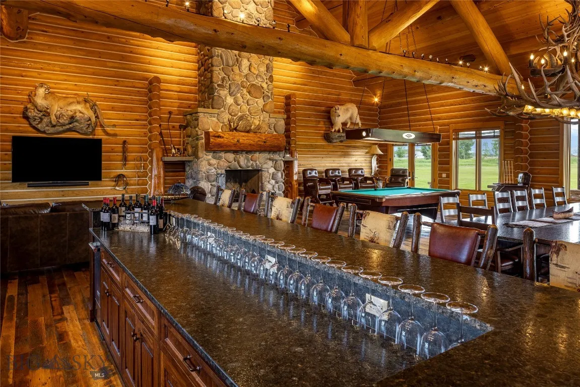 Entertainment Center Interior Bar
