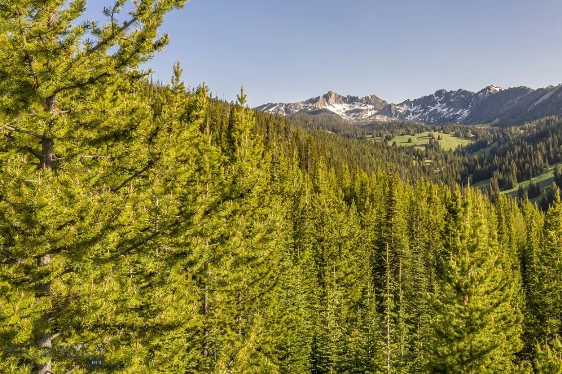 Tbd Beehive Basin Road, Big Sky, Montana 59730, Big Sky, Montana 59730, ,Land,For Sale,Tbd Beehive Basin Road, Big Sky, Montana 59730,403847