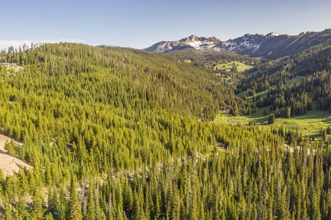 Tbd Beehive Basin Road, Big Sky, Montana 59730, Big Sky, Montana 59730, ,Land,For Sale,Tbd Beehive Basin Road, Big Sky, Montana 59730,403847