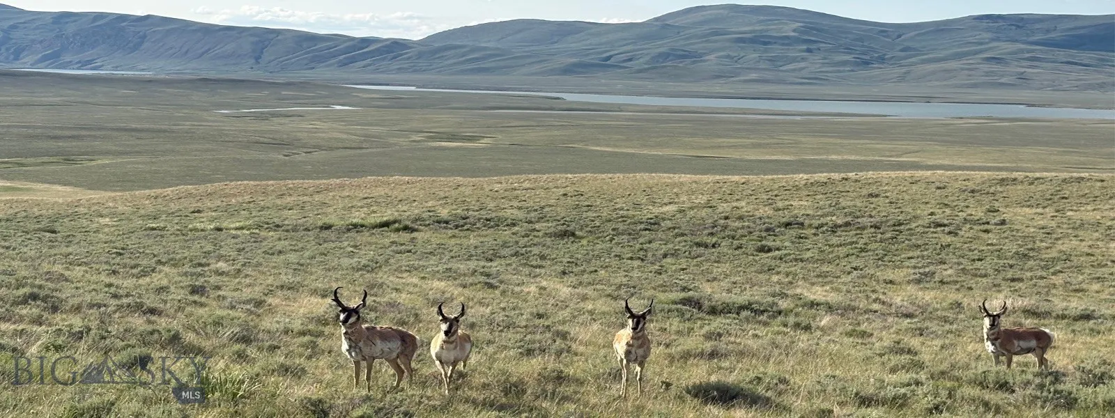 Tbd South Valley Road, Dell, Montana 59724, Dell, Montana 59724, ,Farm,For Sale,Tbd South Valley Road, Dell, Montana 59724,0,403628