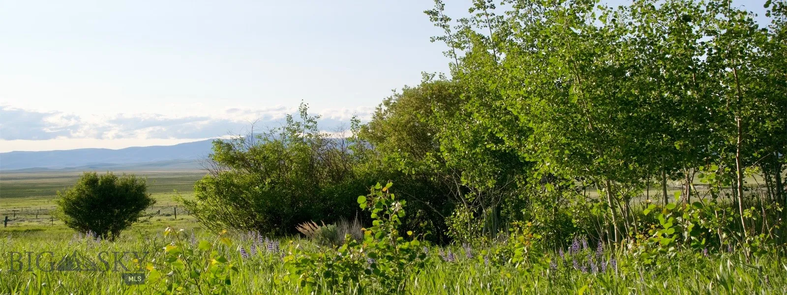 Tbd South Valley Road, Dell, Montana 59724, Dell, Montana 59724, ,Farm,For Sale,Tbd South Valley Road, Dell, Montana 59724,0,403628