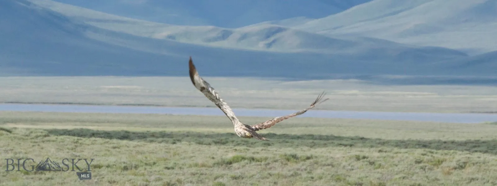 Tbd South Valley Road, Dell, Montana 59724, Dell, Montana 59724, ,Farm,For Sale,Tbd South Valley Road, Dell, Montana 59724,0,403628