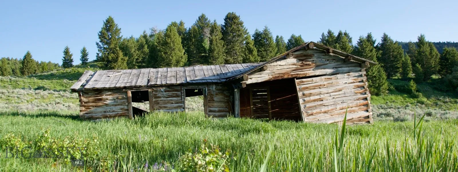 Tbd South Valley Road, Dell, Montana 59724, Dell, Montana 59724, ,Farm,For Sale,Tbd South Valley Road, Dell, Montana 59724,0,403628