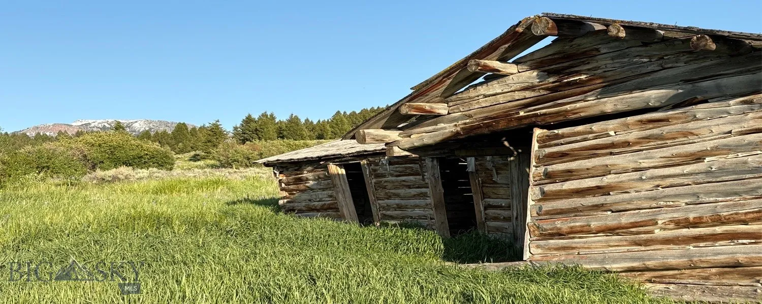 Tbd South Valley Road, Dell, Montana 59724, Dell, Montana 59724, ,Farm,For Sale,Tbd South Valley Road, Dell, Montana 59724,0,403628