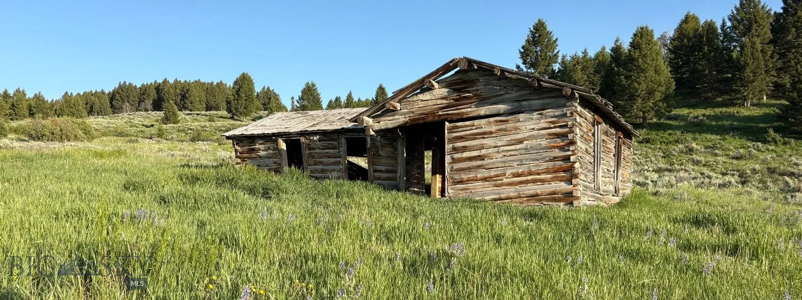 Tbd South Valley Road, Dell, Montana 59724, Dell, Montana 59724, ,Farm,For Sale,Tbd South Valley Road, Dell, Montana 59724,0,403628