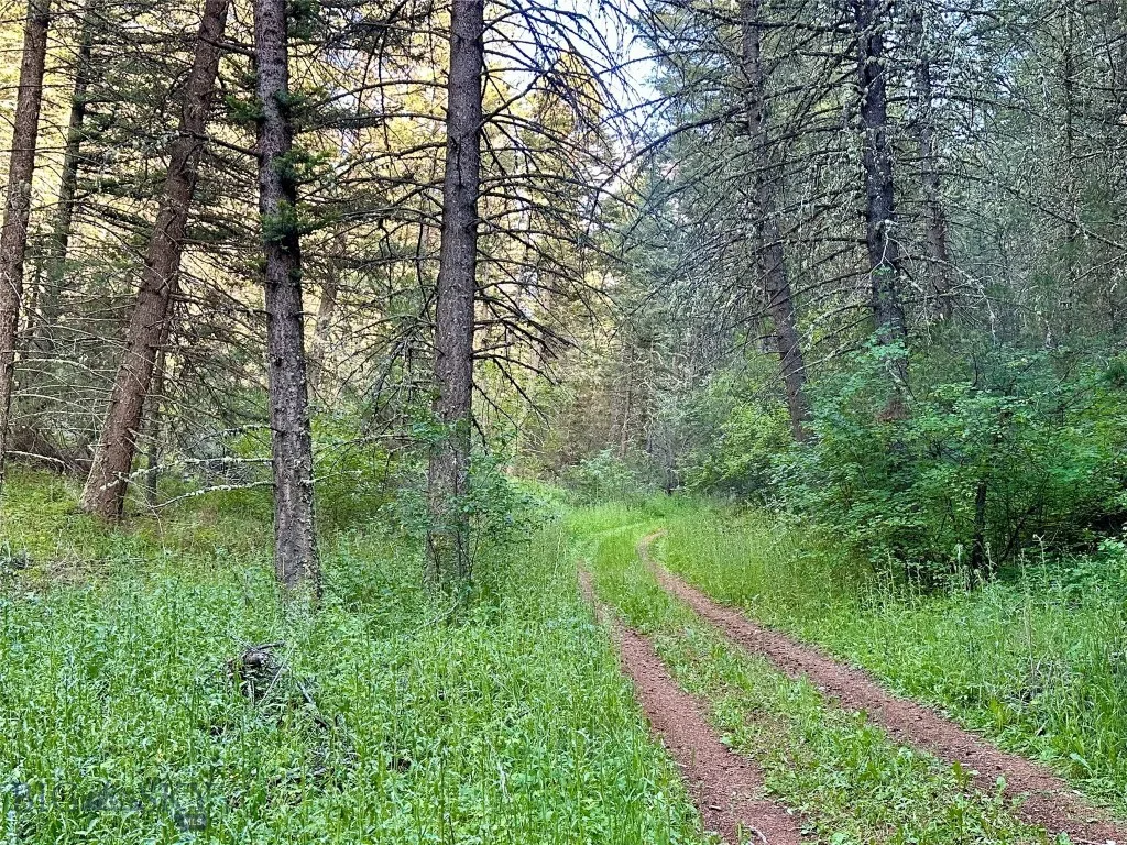 Lot 31 Tbd Round Pole Drive, Three Forks, Montana, Three Forks, Montana 59752, ,Land,For Sale,Lot 31 Tbd Round Pole Drive, Three Forks, Montana ,403907