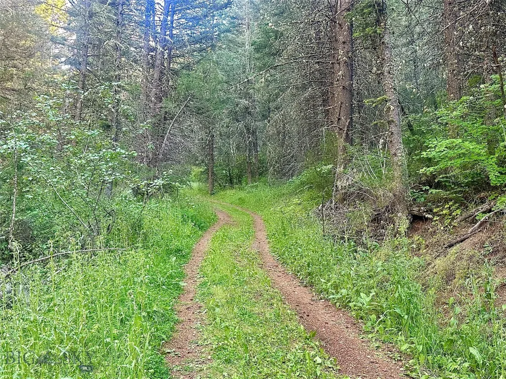 Lot 31 Tbd Round Pole Drive, Three Forks, Montana, Three Forks, Montana 59752, ,Land,For Sale,Lot 31 Tbd Round Pole Drive, Three Forks, Montana ,403907