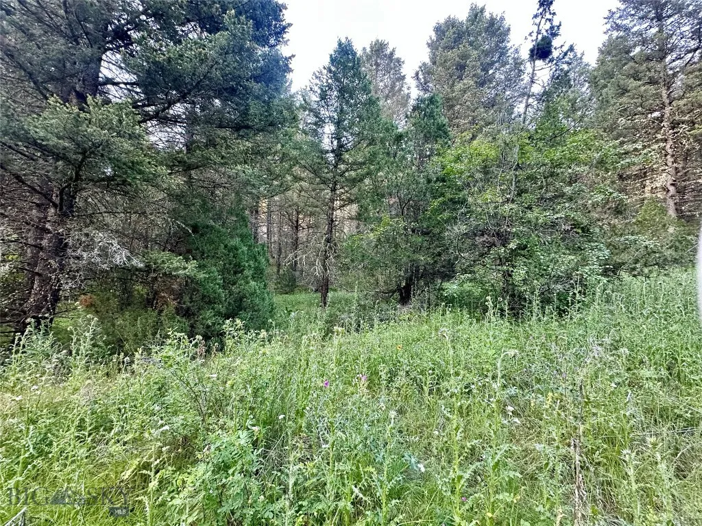 Lot 31 Tbd Round Pole Drive, Three Forks, Montana, Three Forks, Montana 59752, ,Land,For Sale,Lot 31 Tbd Round Pole Drive, Three Forks, Montana ,403907