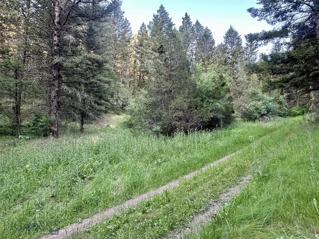 Lot 31 Tbd Round Pole Drive, Three Forks, Montana, Three Forks, Montana 59752, ,Land,For Sale,Lot 31 Tbd Round Pole Drive, Three Forks, Montana ,403907