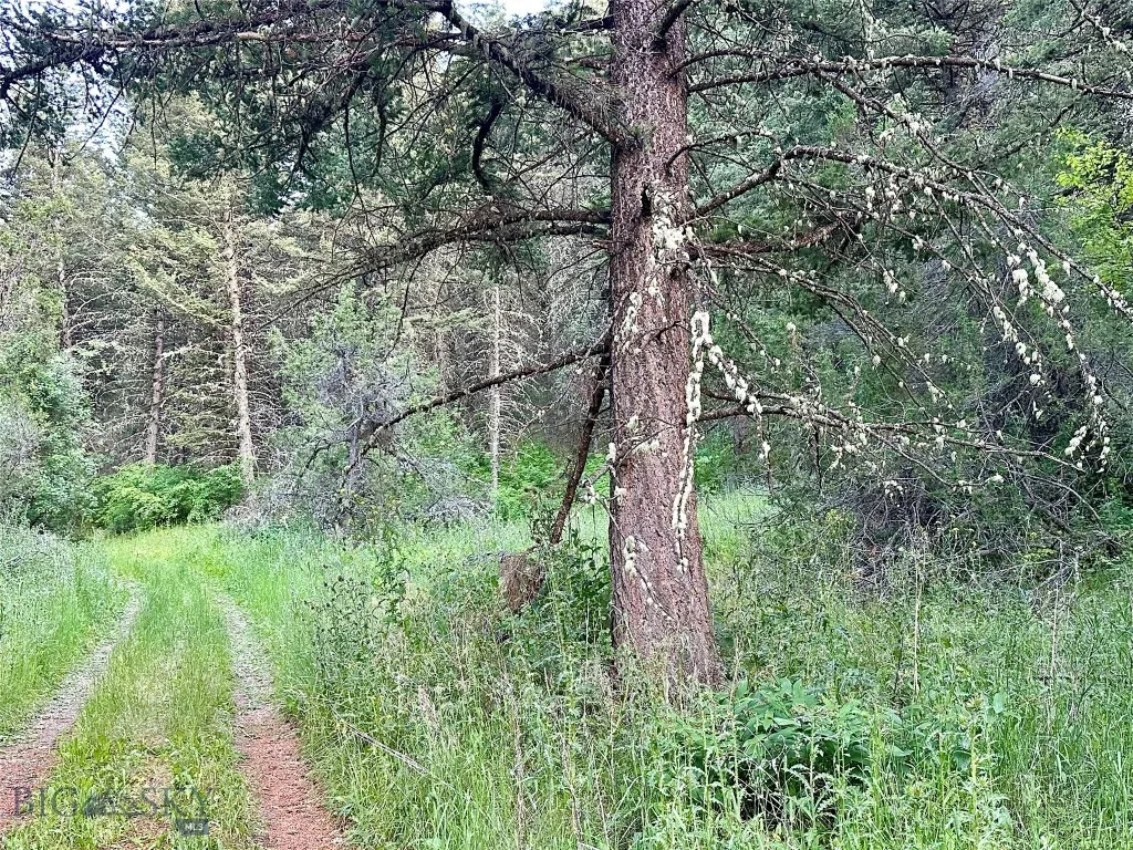 Lot 31 Tbd Round Pole Drive, Three Forks, Montana, Three Forks, Montana 59752, ,Land,For Sale,Lot 31 Tbd Round Pole Drive, Three Forks, Montana ,403907