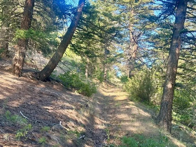 Lot 31 Tbd Round Pole Drive, Three Forks, Montana, Three Forks, Montana 59752, ,Land,For Sale,Lot 31 Tbd Round Pole Drive, Three Forks, Montana ,403907